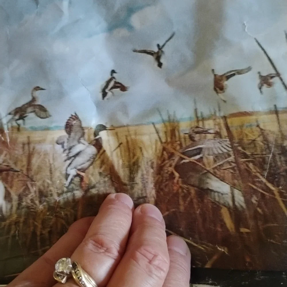 Wall MURAL WILDLIFE WISC VINTAGE MURAL Water Fowl 🦌 RARE WALL HUGE EVC 3' X 5'